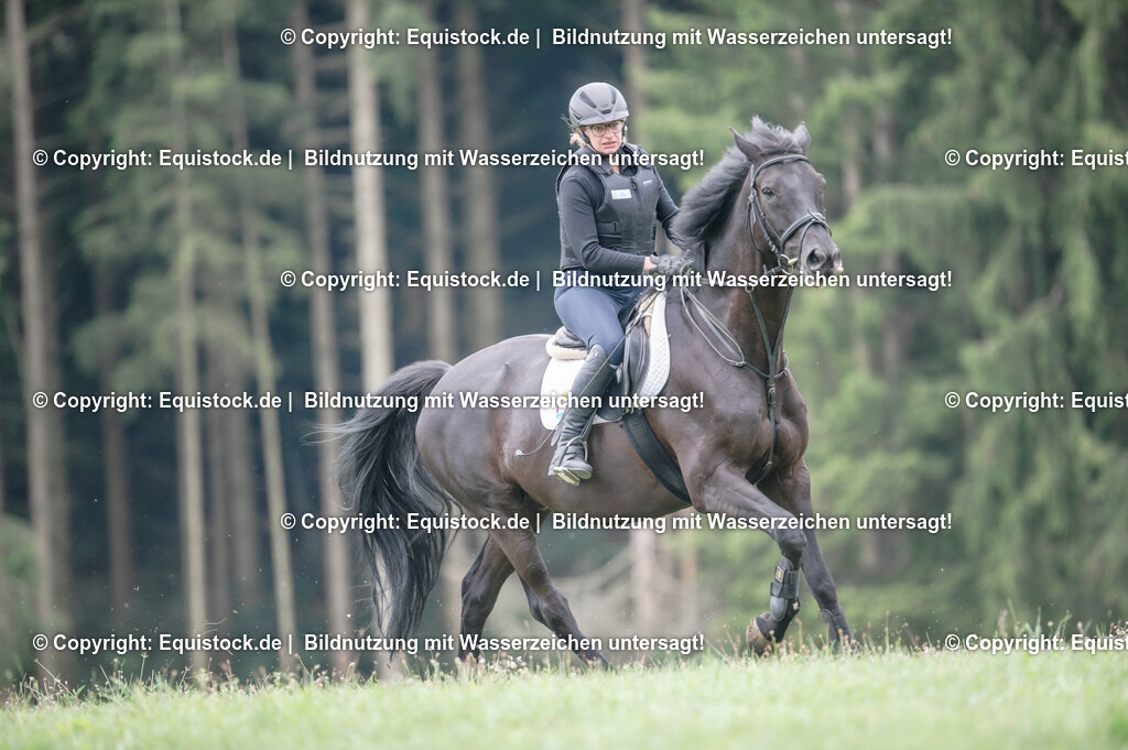 20250726_Vielseitigkeitslehrgang-Marbach_0663 | Foto: Thomas Hartig