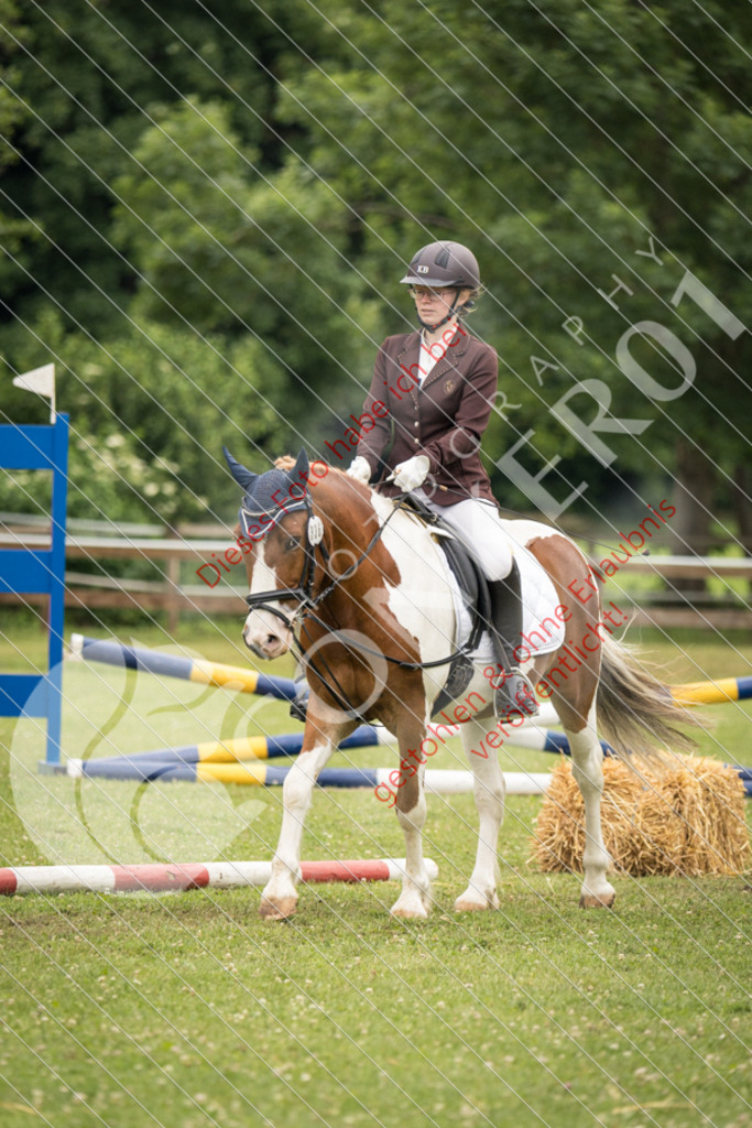 IMG_8330 | Sport-, Event- und Tierfotos in Profiqualität. Einfach auswählen, bestellen und herunterladen. Dein Moment – perfekt festgehalten.