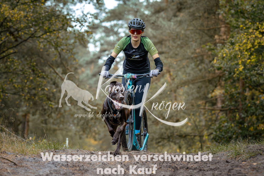 1529_ZZ91589 | kk-dogfotos