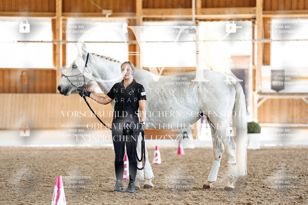 CK907762 | Turnierfotografie Pferdefotografie Trier Rheinland-Pfalz Pferdesport Reitsport Tierfotografie Sportfotografie Pferdevideo Pferdevideografie Equestrianvideography equestrianphotography  - Realisiert mit Pictrs.com