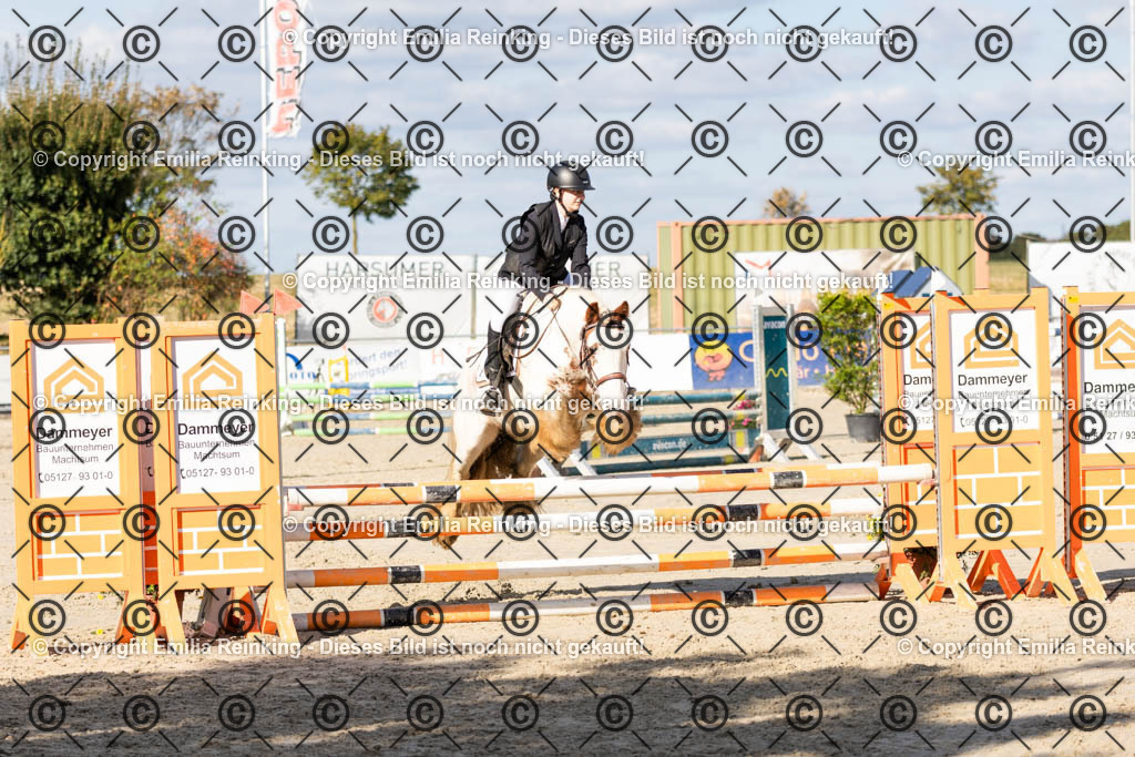 CL5A4201 | Emilia Reinking Fotografie - Realisiert mit Pictrs.com