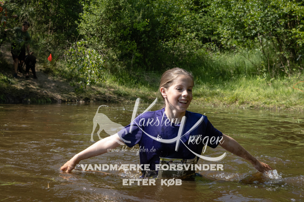 1539DKK991680 | kk-dogfotos