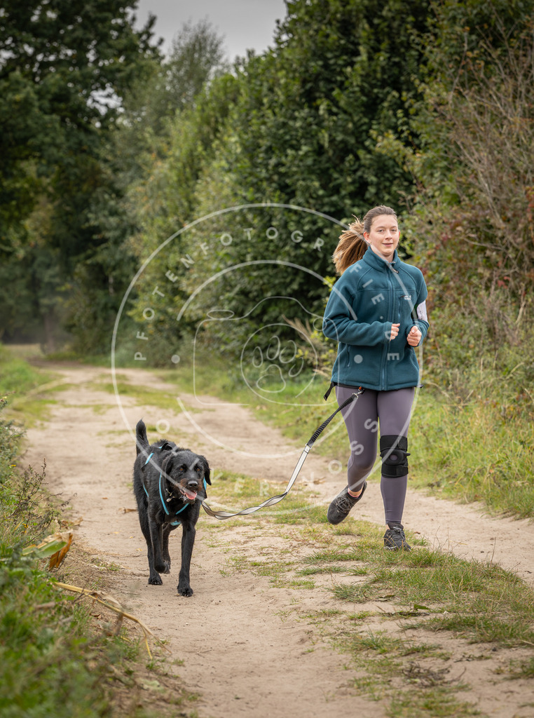 Pfotenfotografie_DV3A8463 | Hundefotografie, Tierfotograf, Pfotenfotografie, Fotoshooting Hund, Hunde Portrait, Hundesport, Hundeportraits, Heideshooting, Hunde, Sportfotograf, Hundefotograf, Turnierhundsport, THS,  - Realisiert mit Pictrs.com