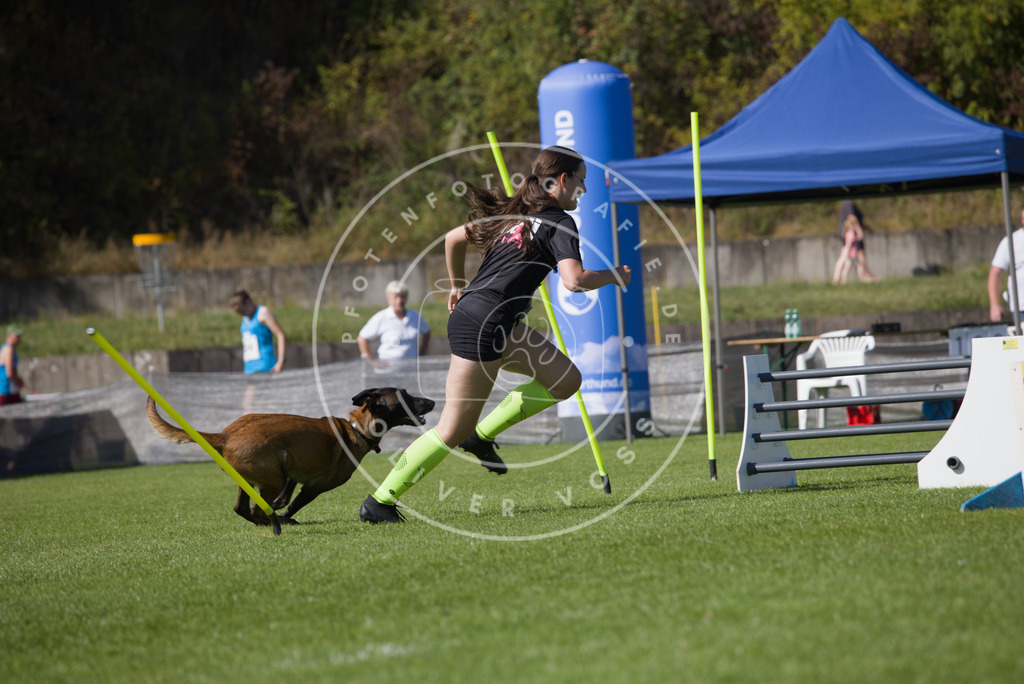 0L8A7485 | Hundefotografie, Tierfotograf, Pfotenfotografie, Fotoshooting Hund, Hunde Portrait, Hundesport, Hundeportraits, Heideshooting, Hunde, Sportfotograf, Hundefotograf, Turnierhundsport, THS,  - Realisiert mit Pictrs.com