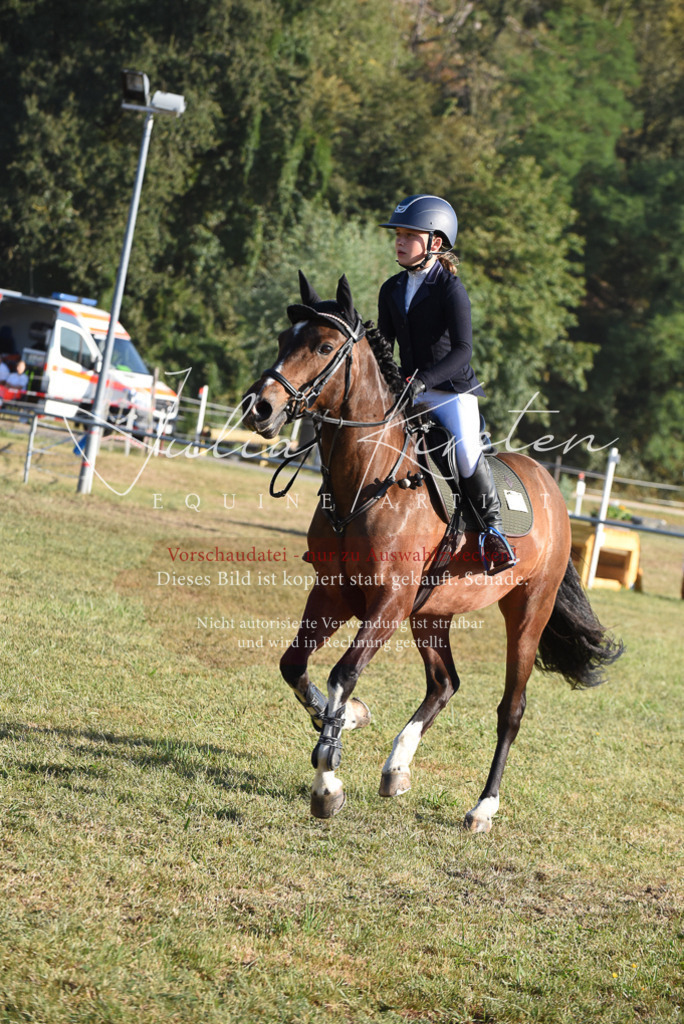 DSC_5111 | Pferde- und Turnierfotografie in Westsachsen. Pferdeportraits, Auftragszeichnungen und intuitive Kunst.