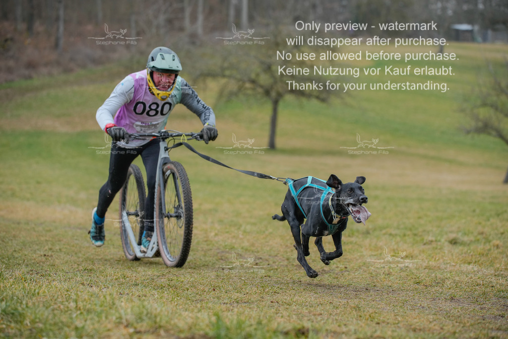 Sa_Scooter1-75 | stephaniefillaphotographie - Realisiert mit Pictrs.com