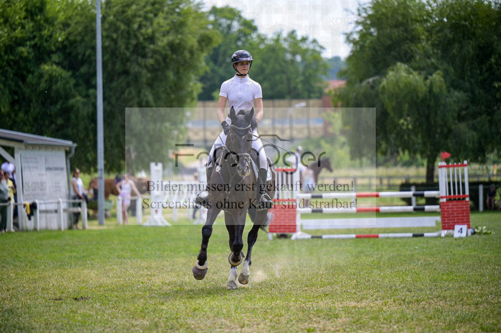 Reitturnier Voxtrup | Entdecke hochwertige Reitturnierfotos von Foto Oger. Professionell, emotional und authentisch – jetzt Lieblingsmomente im Shop bestellen.Deutschlandweite Turnierfotografie. - Realisiert mit Pictrs.com