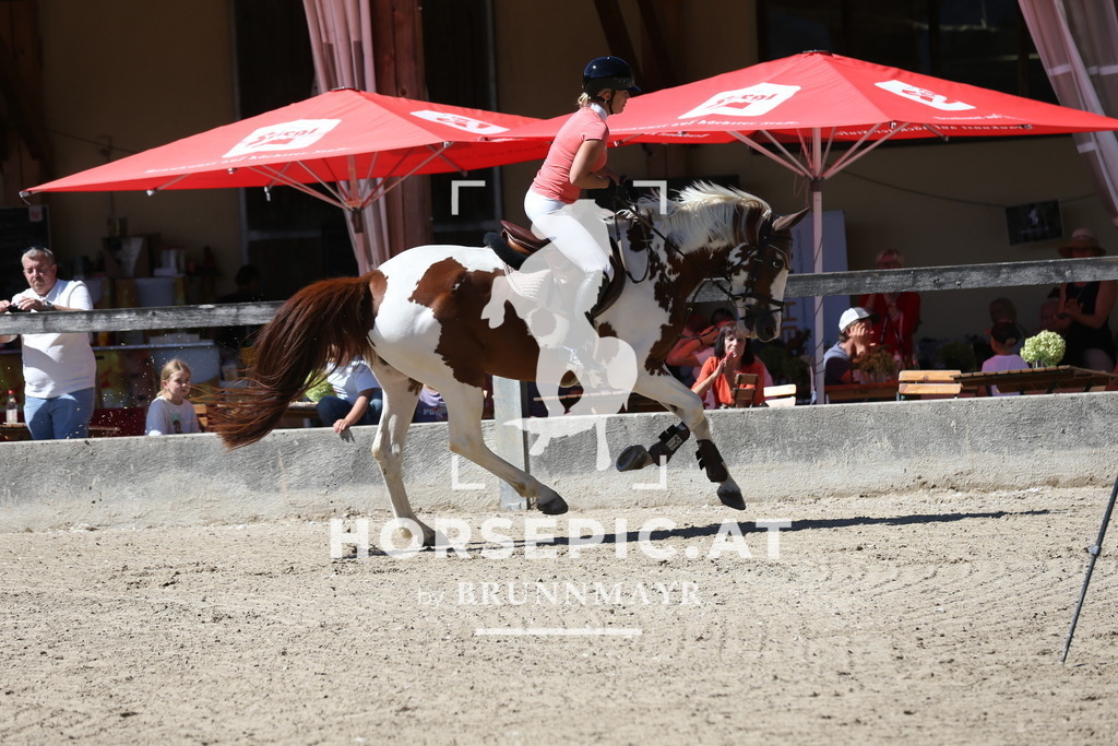 DL2Q0672 | Willkommen bei Brunnmayr - Design & Fotografie – Ihrem Spezialisten für Reitturniere und Pferdeveranstaltungen in Oberösterreich, Salzburg und Bayern! Seit über 17 Jahren sind wir leidenschaftlich dabei.
