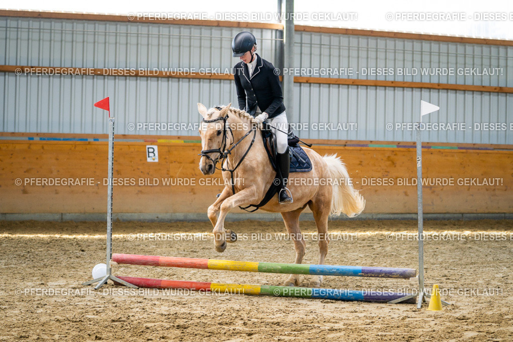 DSC01846 | Pferdegrafie