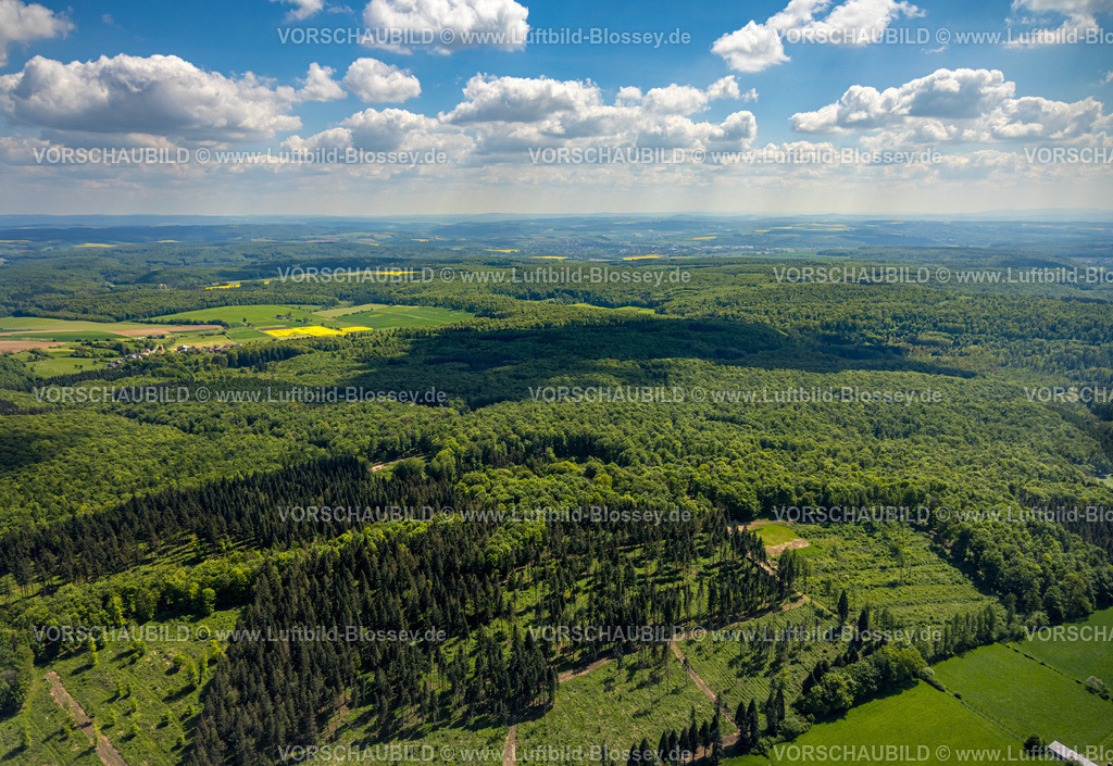 Nieheim240504682NSG-HinnenburgerForst | Luftbild, NSG Naturschutzgebiet Hinnenburger Forst mit Emder Bachtal, Waldgebiet mit Wiesen und Feldern, Fernsicht mit blauem Himmel und Wolken, Pömbsen, Bad Driburg, Ostwestfalen, Nordrhein-Westfalen, Deutschland