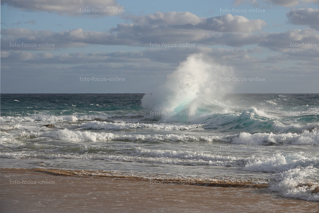 waves | Elemental power of the waves