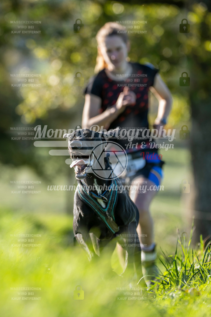 MompixPhotography_20TSB_E3_Run-187 | PayLife