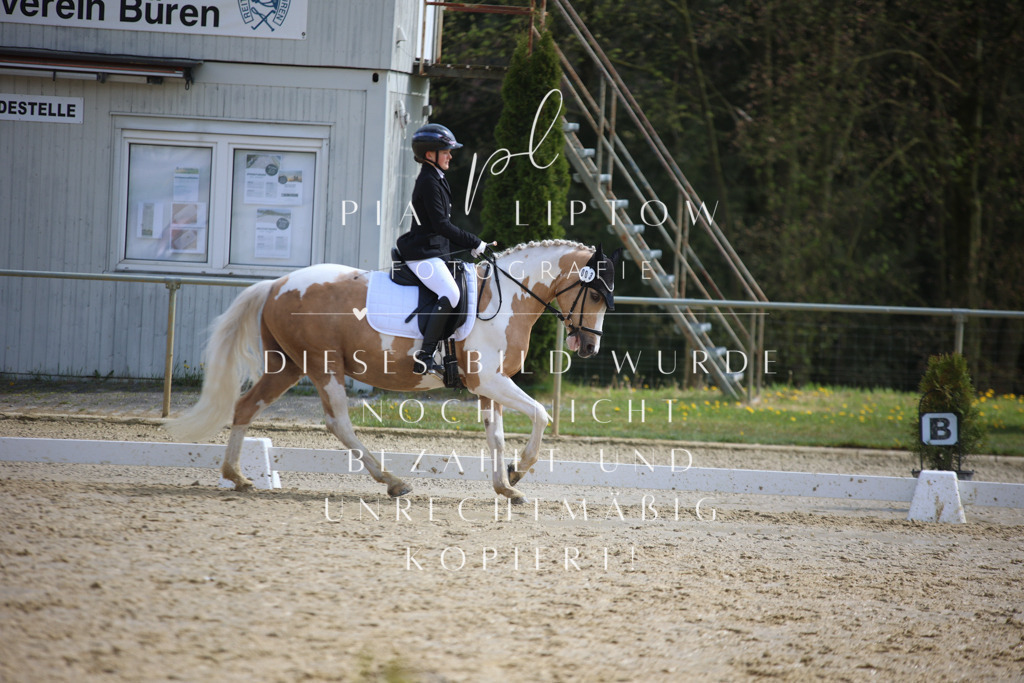 IMGT4223 | pl-fotografie