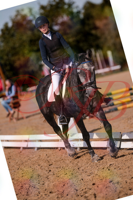 2026_10_03_Siefer-Hof_120029_Z81_02362377 | Professionelle Reitsport-, Turnier- und Eventfotografie von Robert Broda. Galerien mit ausgewählten und bearbeiteten Bildern direkt online ansehen und bestellen.