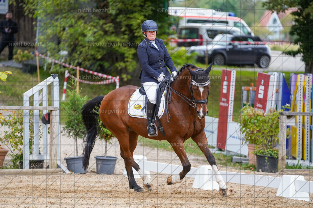 20231007-SN_00842 | Professionelle Turnier- und Reitsportfotografie - mit dem Finger am Auslöser. Pferdebilder aus dem Reitsport von den Turnierfotografen  Bayern , Pferdefotograf Bayern, Pferdeshooting Turnierbilder, Hochzeitsfotograf, Eventfotograf, Hochzeitsbilder