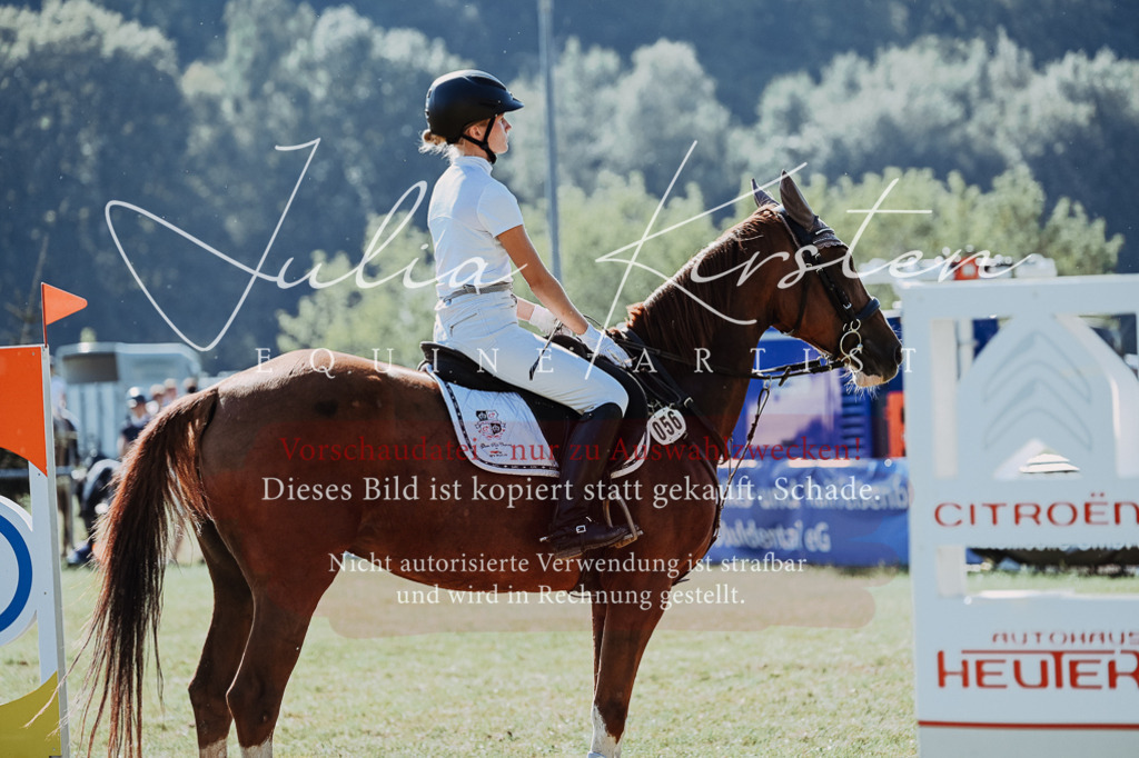DSC_5599 | Pferde- und Turnierfotografie in Westsachsen. Pferdeportraits, Auftragszeichnungen und intuitive Kunst.