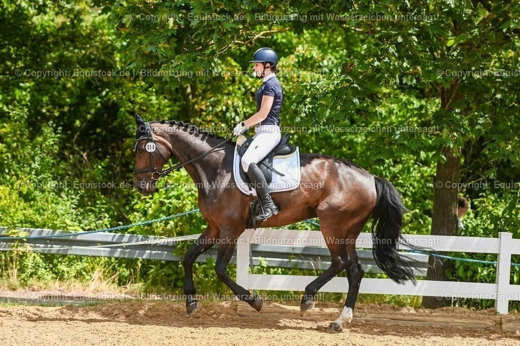 20230715_05_Dressurprüfung Kl.A++_0221 | equistock