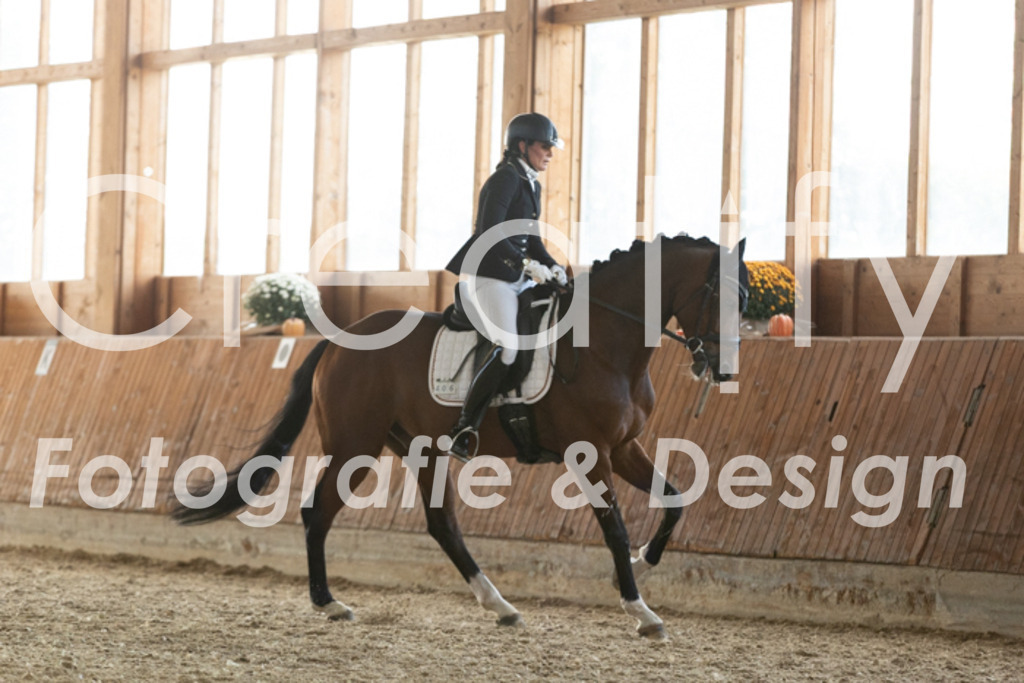 IMG_3899 | Creatify Fotografie