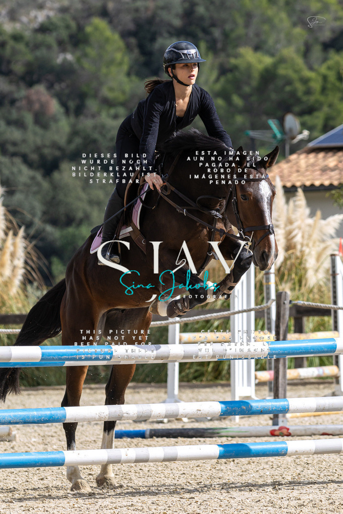 IMG_2985 | s-jay-photography - Realisiert mit Pictrs.com