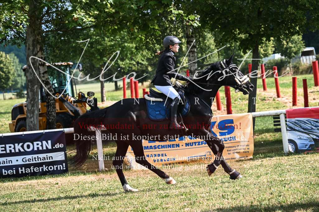 DSC_7876 | Pferde- und Turnierfotografie in Westsachsen. Pferdeportraits, Auftragszeichnungen und intuitive Kunst.
