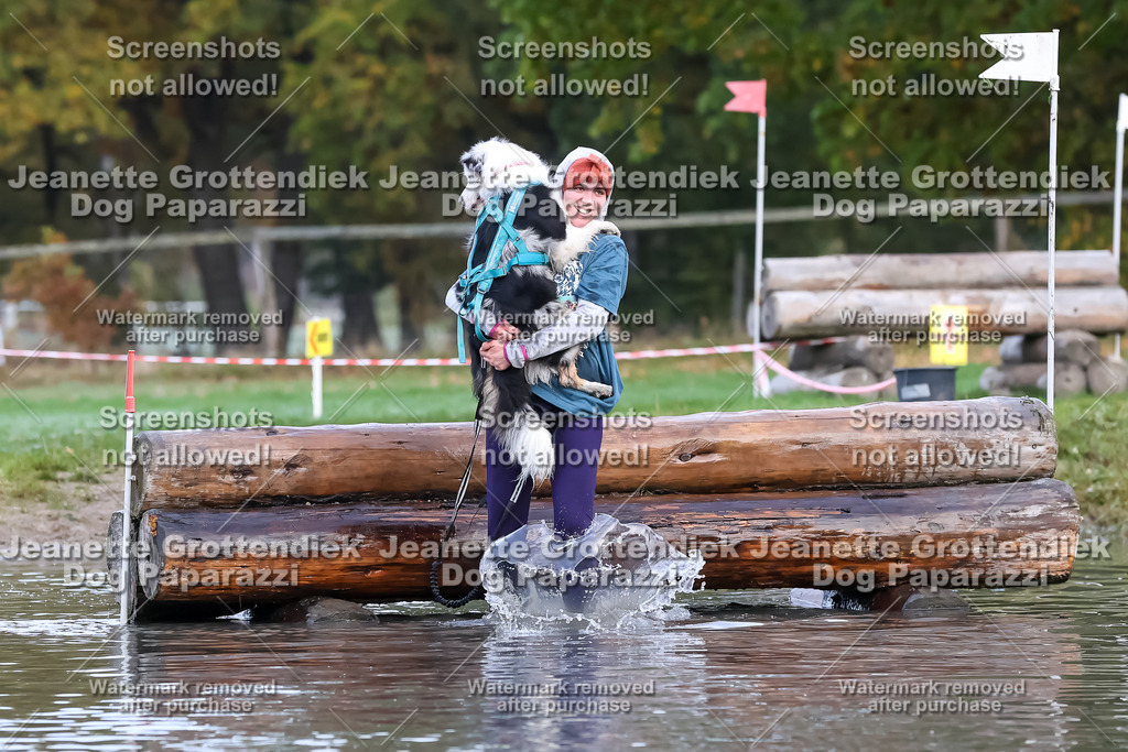 Dog Paparazzi - Strongdog 10-25-6436 | Dog Paparazzi Jeanette Grottendiek Fotografie & Videografie - Realisiert mit Pictrs.com