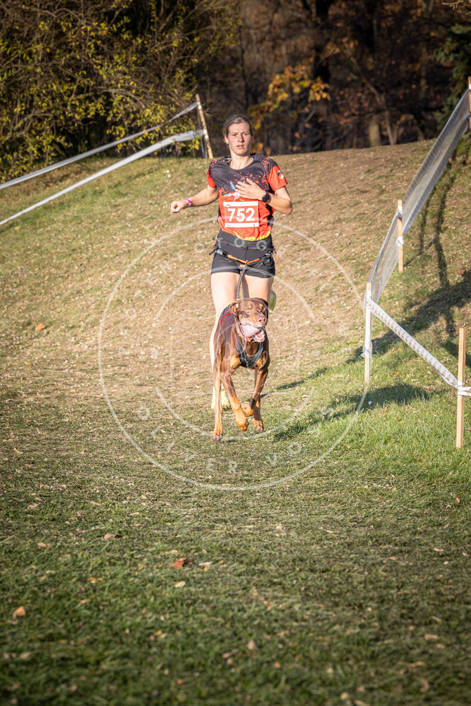CaniXpix_0L8A9898 | Hundefotografie, Tierfotograf, Pfotenfotografie, Fotoshooting Hund, Hunde Portrait, Hundesport, Hundeportraits, Heideshooting, Hunde, Sportfotograf, Hundefotograf, Turnierhundsport, THS,  - Realisiert mit Pictrs.com