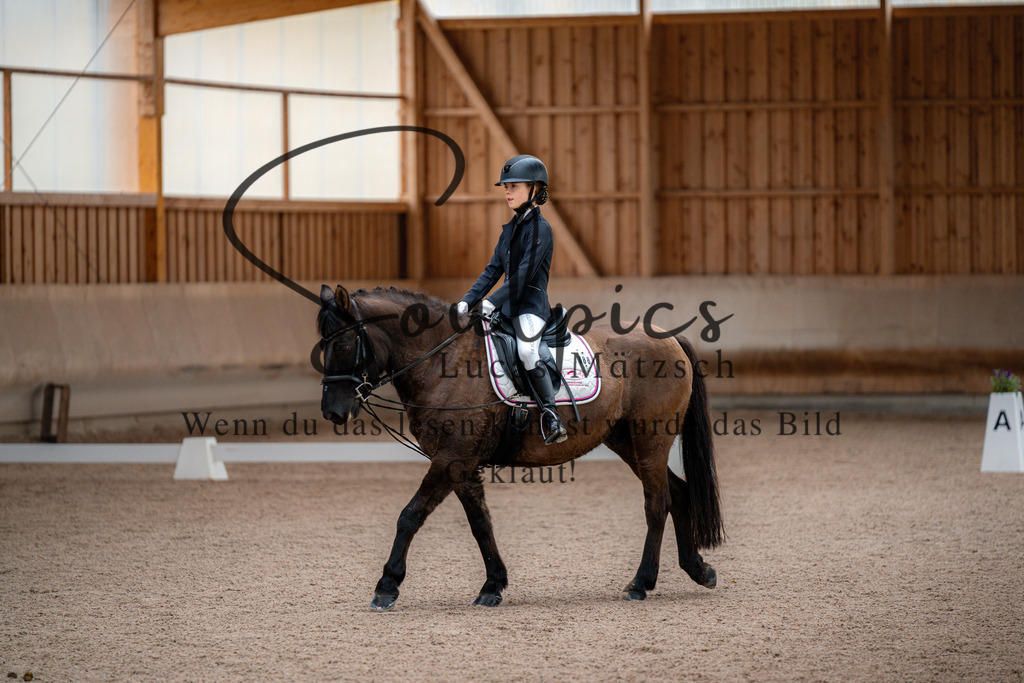 A7V02842 | Pferdefotograf