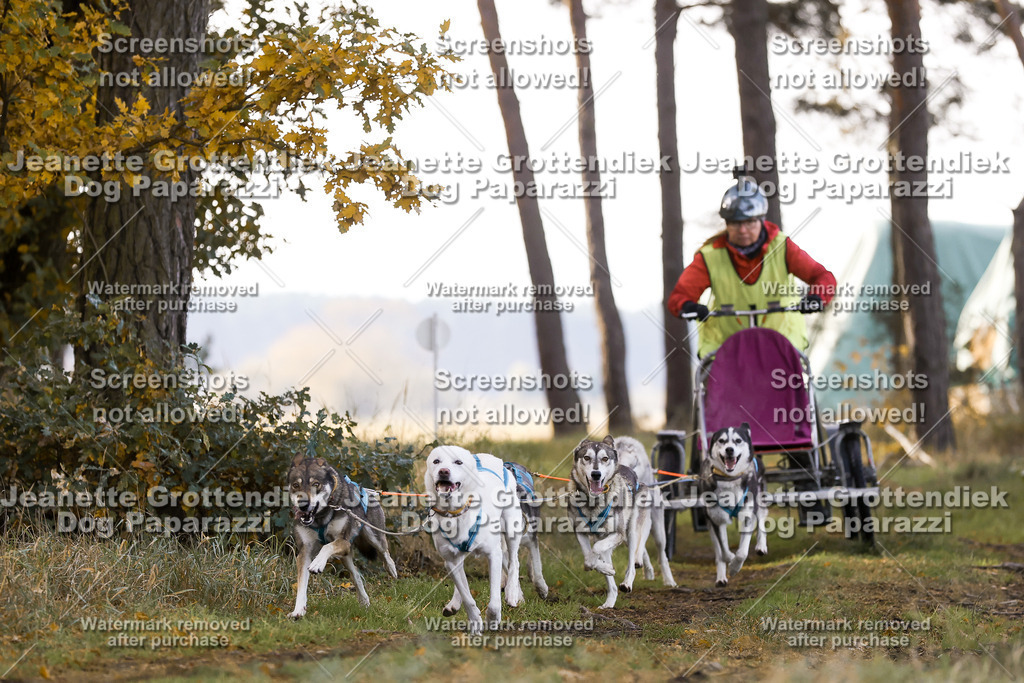 Dog Paparazzi - Elsholz 25 -34 | Dog Paparazzi Jeanette Grottendiek Fotografie & Videografie - Realisiert mit Pictrs.com