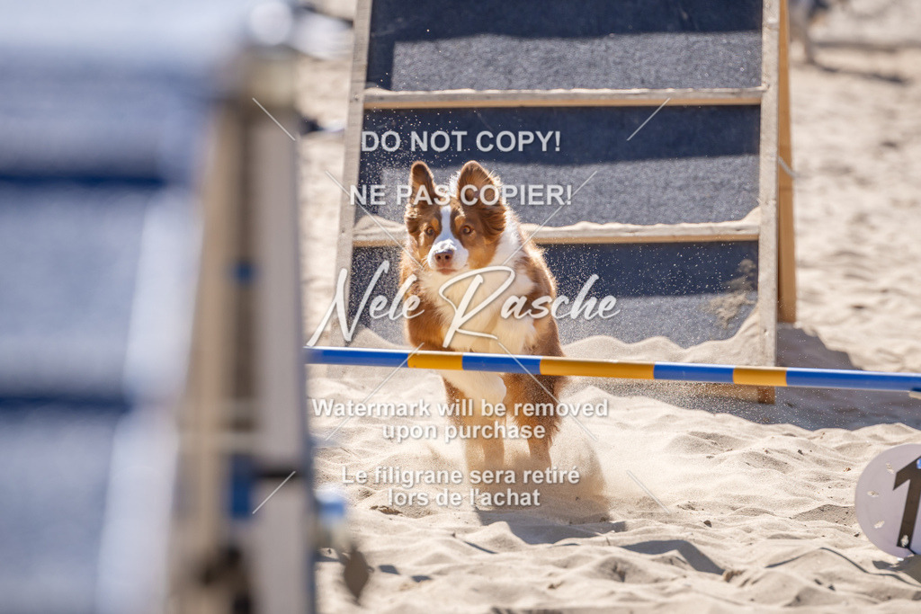 NR__0796 | nelerasche