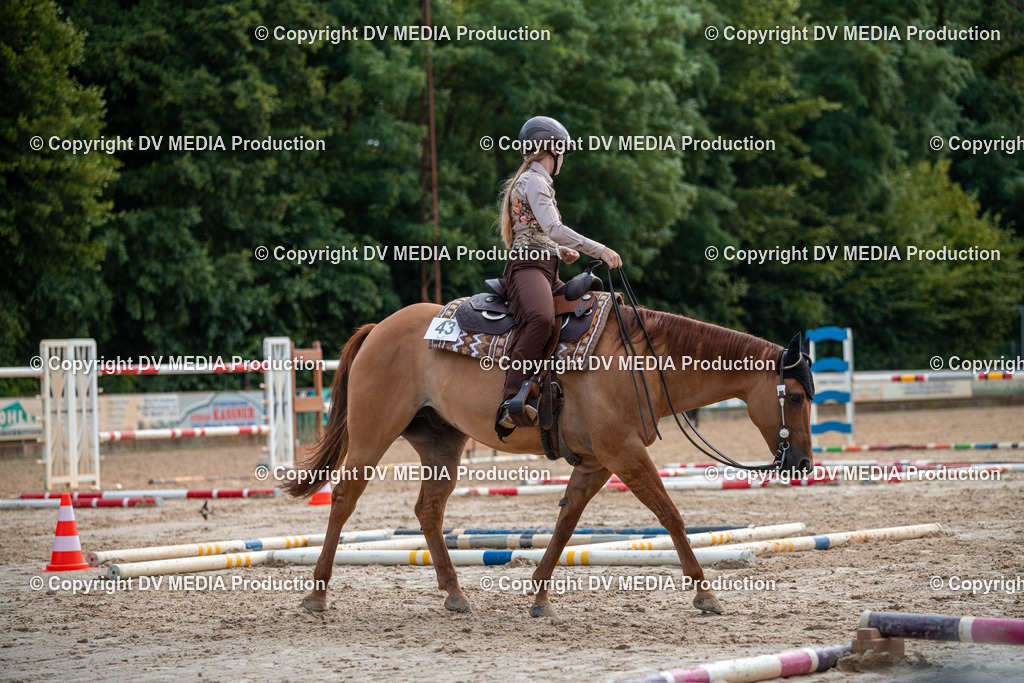 ZS3_9298 | dv-media-shop - Realisiert mit Pictrs.com