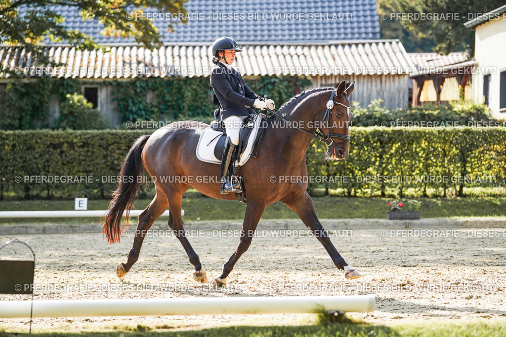 DSC06833 | Pferdegrafie