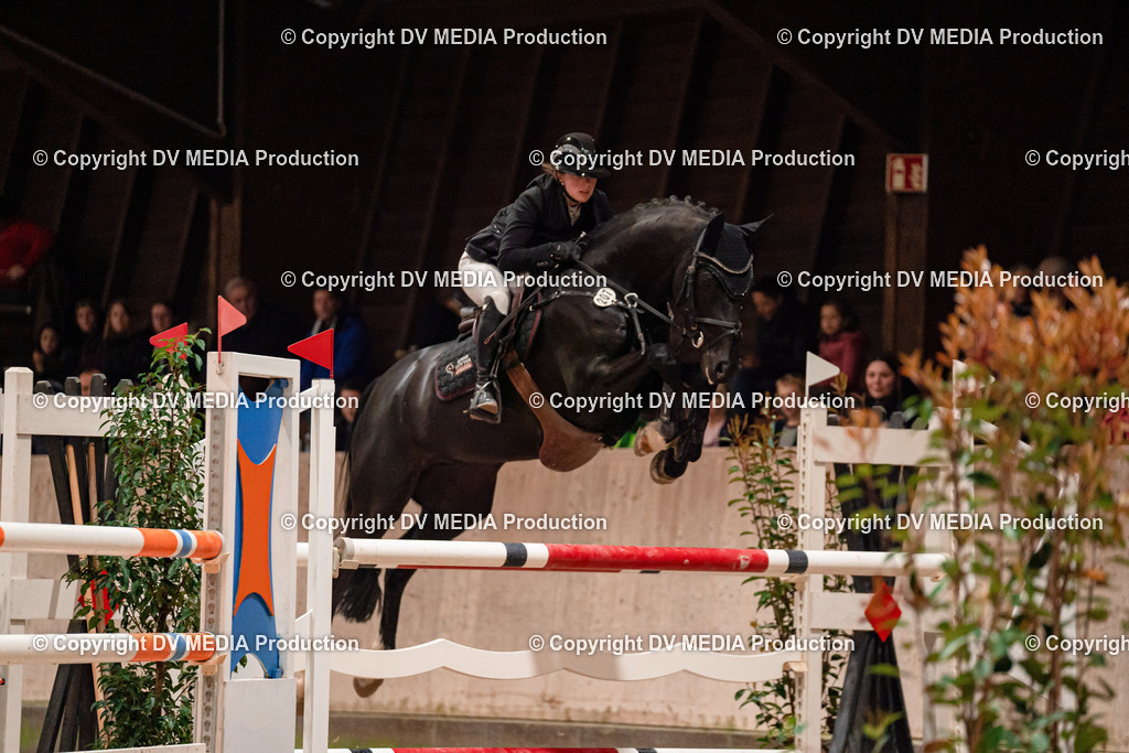 Springen Tag 2-795 | dv-media-shop - Realisiert mit Pictrs.com