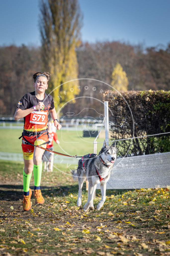 CaniXpix_DV3A9019 | Hundefotografie, Tierfotograf, Pfotenfotografie, Fotoshooting Hund, Hunde Portrait, Hundesport, Hundeportraits, Heideshooting, Hunde, Sportfotograf, Hundefotograf, Turnierhundsport, THS,  - Realisiert mit Pictrs.com