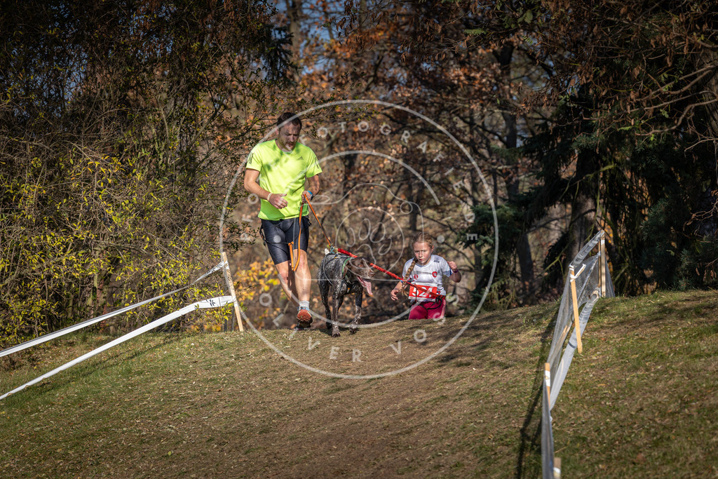 CaniXpix_0L8A8661 | Hundefotografie, Tierfotograf, Pfotenfotografie, Fotoshooting Hund, Hunde Portrait, Hundesport, Hundeportraits, Heideshooting, Hunde, Sportfotograf, Hundefotograf, Turnierhundsport, THS,  - Realisiert mit Pictrs.com