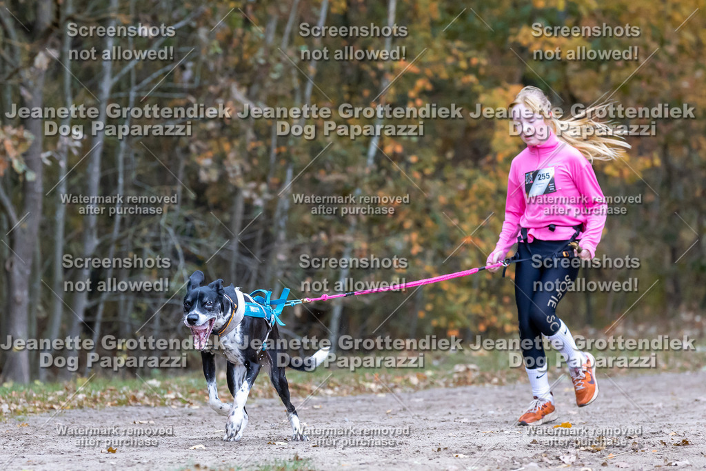 Dog Paparazzi - SD CaniX Championship 2025-650 | Dog Paparazzi Jeanette Grottendiek Fotografie & Videografie - Realisiert mit Pictrs.com