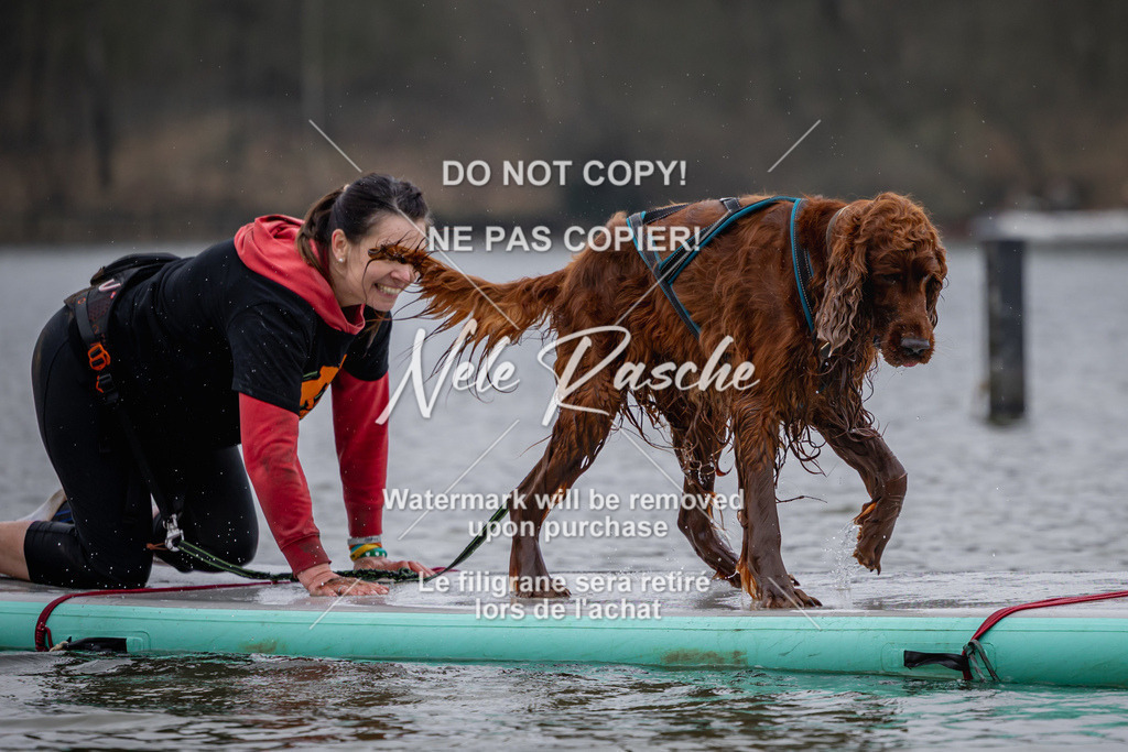 nelerasche_Hulsbeek_Sa1430-1515_518 | nelerasche
