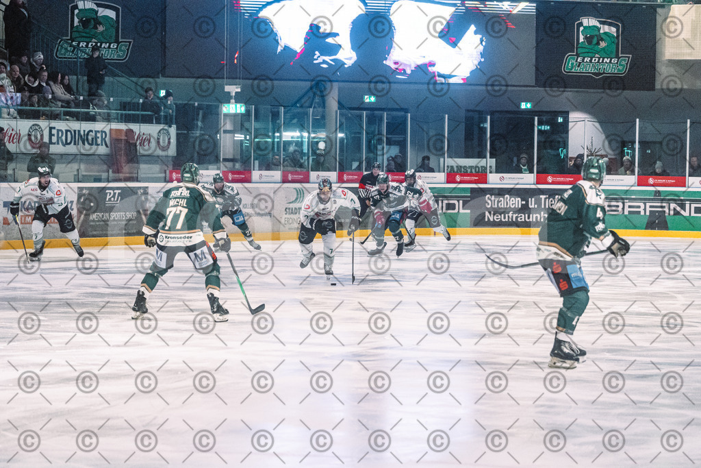 Erding_vs_Alligators_02_01_2026-54 | Höchstadt Alligators Fotogalerie: Eishockey-Action aus Franken. Professionelle Spielfotos, Portraits & Stadionbilder zum Download. Jetzt entdecken! - Realisiert mit Pictrs.com