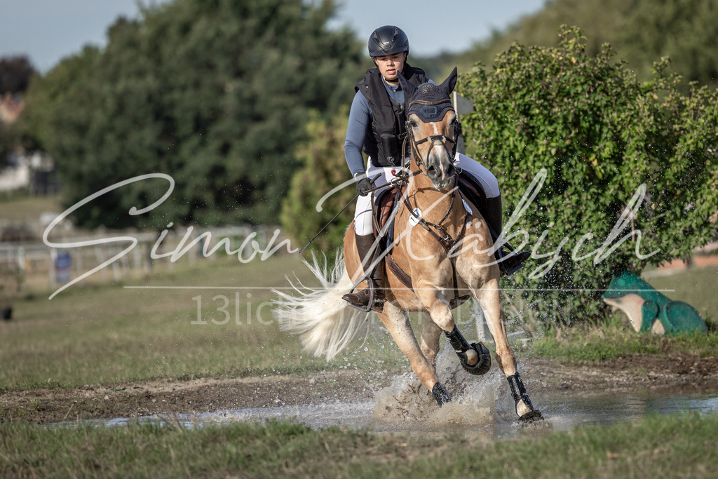 20250907-_3LI8754 | Tierfotografie Pferde, Hunde, Katzen, Haustiere.
Turnierfotografie Reitturniere, Reiten, Springreiten, Dressur in Hanau, dem Main-Kinzig-Kreis und dem Rhein-Main- Gebiet um Frankfurt