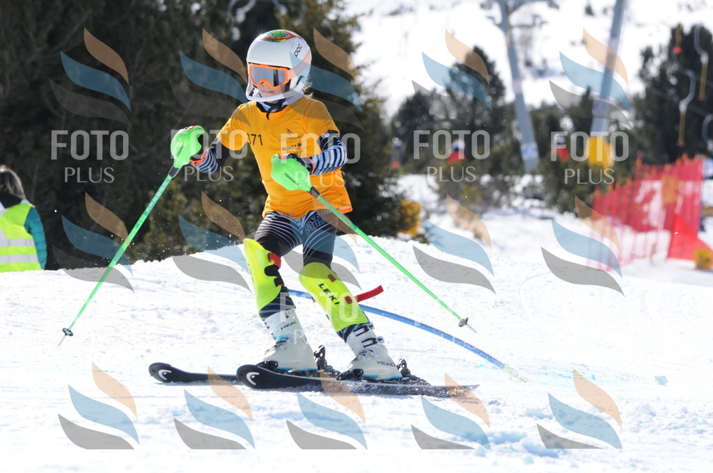 C8919 | holidayphoto