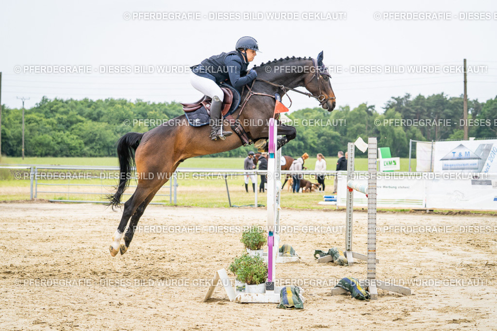 DSC02404 | Pferdegrafie