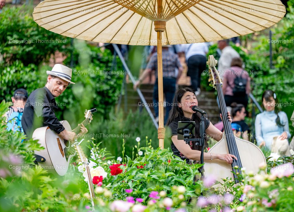 Lorsch-Fruehlingsmarkt-fotografie-thomas-neu.jpg43 | ble, Lorsch, Frühlingsmarkt, Mimi , das Mädchen mit dem Kontrabass im Pfingstrosengarten,Bild: THomas Neu