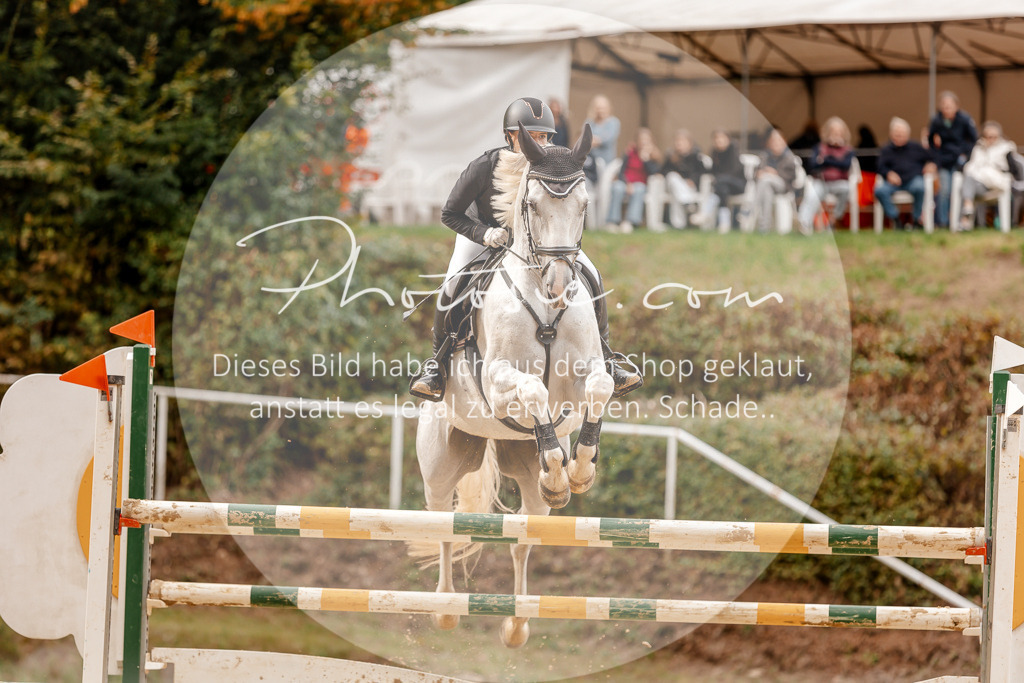3I6A8178 | Stimmungsvolle Portraits und Reitsportfotografie im Ruhrgebiet und im Münsterland.

Pferdefotografie, Hundefotografie, Tierfotografie, Reportagen, Portraits von Tier und Mensch, Turnierfotografie in Bochum, Recklinghausen, Marl, Haltern am See, Dülmen.. - Realisiert mit Pictrs.com