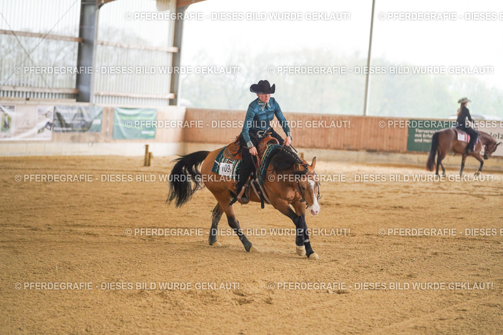 DSC09824 | Pferdegrafie