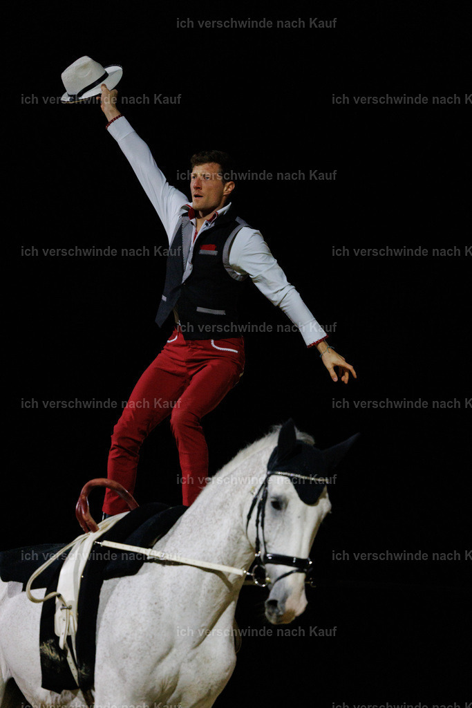 FHClassics-211 | working equitationturnier fotograf videograf stoibphotography marixx film working equitation deutschland reitsport turnierfotografie eventfotografie equestrian events