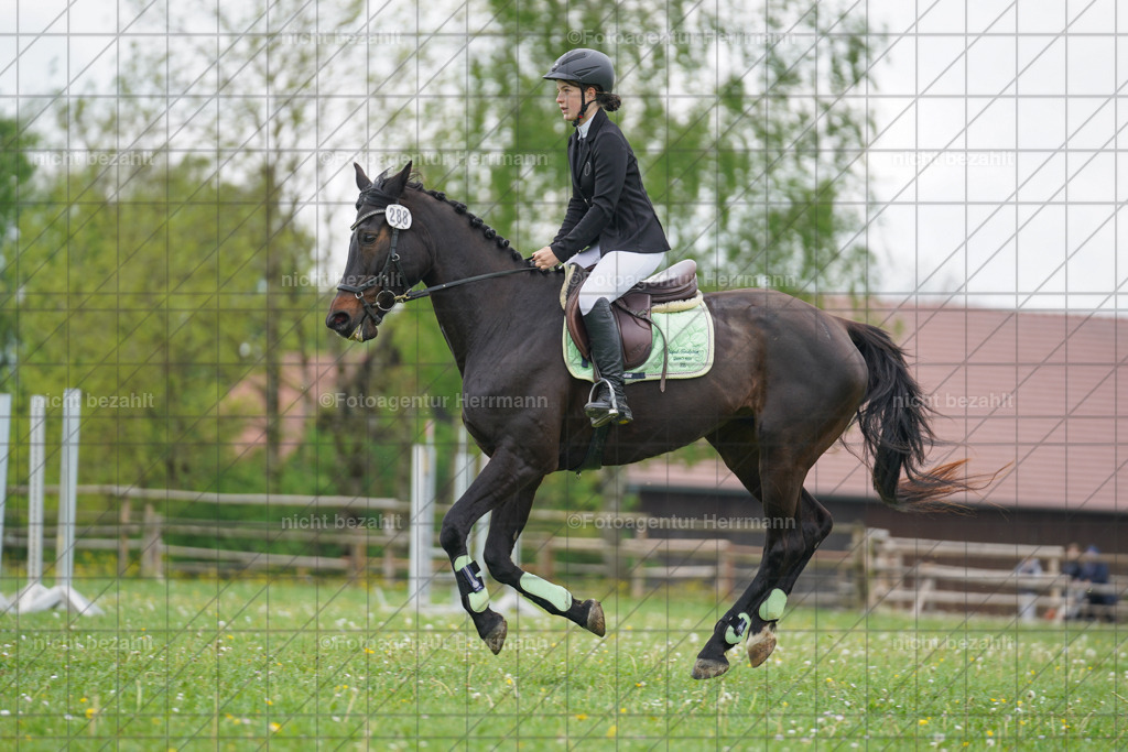 20240509-FAH02588 | Turnierbilder der Turnierfotografen Bayern, Pferdesport Fotografie, Reitsportbilder, Turnier Landberg am Lech, Turnierbilder bayern, Fotoagentur Herrmann