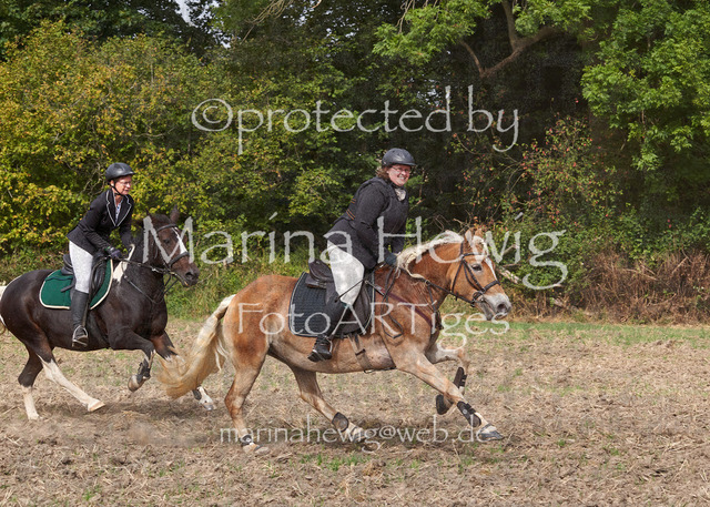 09-23 Jagd Perdöl_MCH9798_Marina Hewig | Fotografie, FotoArt, PferdesportArt, Pferdesportfotografie, Landschaftsfotografie, Reisefotografie, Reise, Pferde - Realisiert mit Pictrs.com