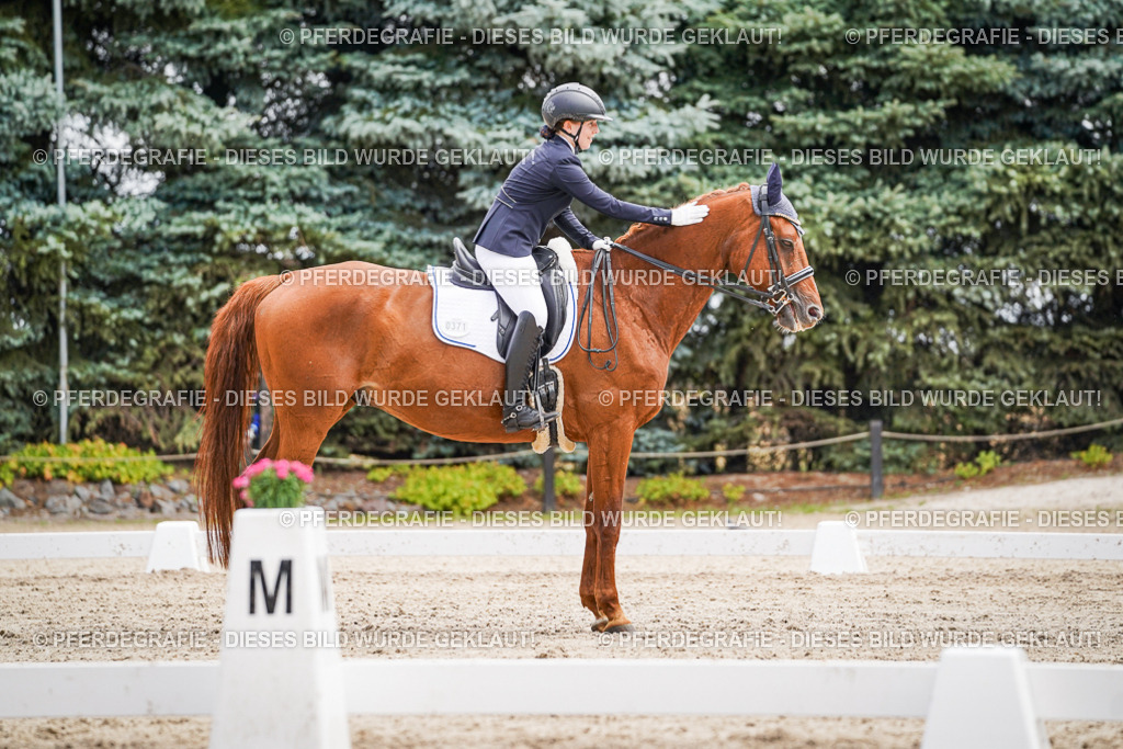 DSC03174 | Pferdegrafie