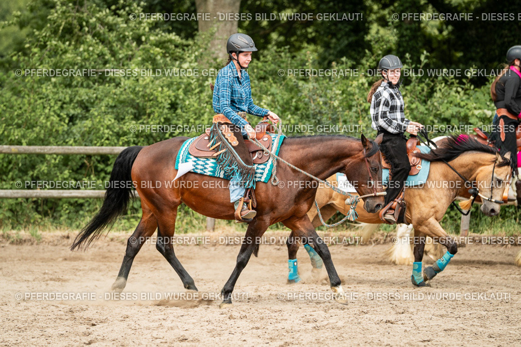 DSC03945 | Pferdegrafie