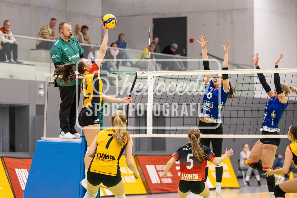 Volleyball I Frauen I Saison 2025-2026 I 2. Bundesliga Nord I 15. Spieltag I VCO Münster - VC Osnabrück I 25.01.2026-094 | Lena Schultze (14, VCO Münster) - Realisiert mit Pictrs.com