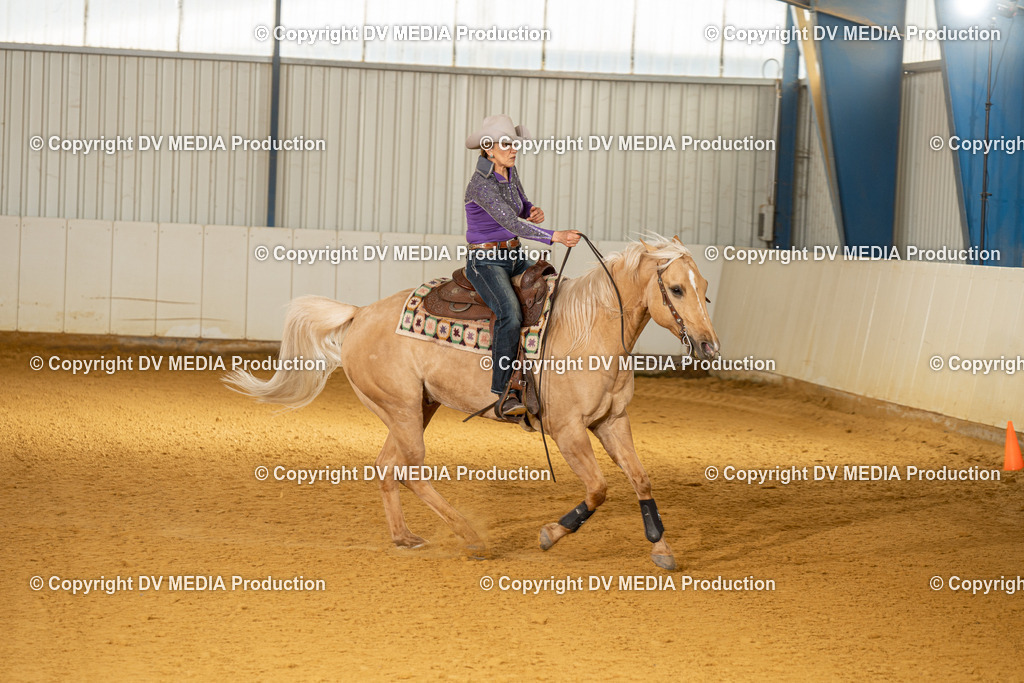 MIT01383 | dv-media-shop - Realisiert mit Pictrs.com